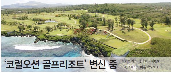 뉴스 사진